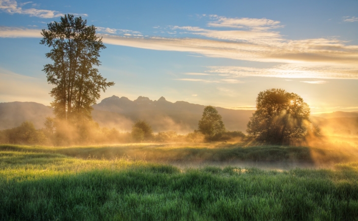 Nature-3787200_1280