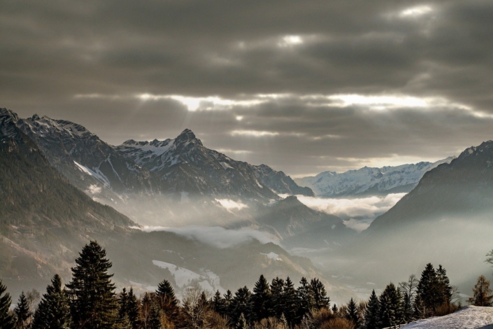Nature-6847175_1280